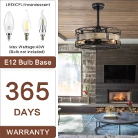 20.5" Caged Ceiling Fan with 5 ABS Blades, Remote Control, Timer, 3 Speeds, Reversible and Quiet for Farmhouse, Bedroom, Living Room, Matte Black(m-6)
