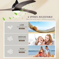 52" Ceiling Fan with Light and Remote Control, Noiseless Reversible Motor, 6 Speed, 3 Color Options, Indoor/Outdoor Use, Matte Black(m-5)