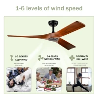 52" Ceiling Fan with Remote Control, Modern Reversible DC Motor, 3 Blades for Indoor/Outdoor Use, Quiet and Energy-Saving, Matte Black(m-6)
