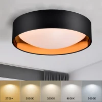 16.93" Flush Mount Ceiling Light with 5 CCT Selectable, 24W Dimmable LED Fixture, 2400 Lumen, Ideal for Bedroom, Kitchen, and Bathroom, Black(m-8)