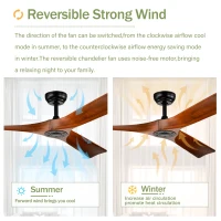 52" Ceiling Fan with Remote Control, Modern Reversible DC Motor, 3 Blades for Indoor/Outdoor Use, Quiet and Energy-Saving, Matte Black(m-5)