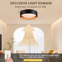 16.93" Flush Mount Ceiling Light with 5 CCT Selectable, 24W Dimmable LED Fixture, 2400 Lumen, Ideal for Bedroom, Kitchen, and Bathroom, Black(m-5)