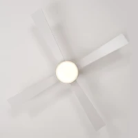 48" Fandelier Ceiling Fan with Lights and Remote, Low Profile Flush Mount, 3000K-6500K Dimmable LED, 6 Speed Settings, Dual Finish Blades, Matte White(m-12)