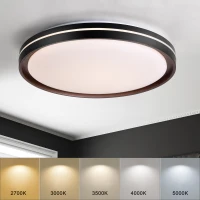 15.75in LED Modern Flush Mount Ceiling Light Fixture, 24W 2400LM, 5 CCT Colors, Dimmable Modern Light for Bedroom, Bathroom, Hallway, Black White(m-8)