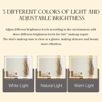 Dressing Table with Flip Top LED Mirror, Vanity Table with Storage, Removable Upholstered Stool, 23.62" x 15.75" x 62.99", White(m-7)