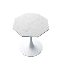 31.5" Modern Octagonal Coffee Table with Printed White Marble Table Top, Metal Base, Easy Assembly, and 220 lbs Weight Capacity, White Marble(m-11)