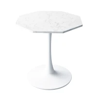 31.5" Modern Octagonal Coffee Table with Printed White Marble Table Top, Metal Base, Easy Assembly, and 220 lbs Weight Capacity, White Marble(m-2)
