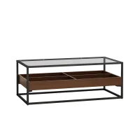47.24" Rectangle Glass Coffee Table with Storage Shelf and Metal Legs, Tempered Glass Surface, Easy Assembly, 47.24" x 23.62" x 17.72", Black(m-2)