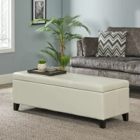 Storage Ottoman with Contemporary Design, Upholstered Seating, Versatile Storage Bench, 51.25" L x 17.5" W x 16.25" H, Ivory(m-5)