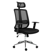Vinsetto High Back Mesh Chair Office Task Chair with Adjustable Height, Headrest, Arm, Lumbar Back Support, Black(m-11)