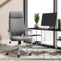 Vinsetto Ergonomic Home Office Chair High Back Computer Desk Chair with Lumbar Back Support, Padded Armrests, Adjustable Height, Grey(m-10)