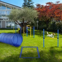 PawHut Backyard Competitive Dog Agility Training Kit Obstacle Course Equipment(m-16)