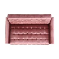 Modern Glam Loveseat Sofa with Velvet Upholstery, Wingback Design, Button-Tufted Diamond Stitch, 52.00" W x 30.50" D x 32.50" H, Blush(m-6)