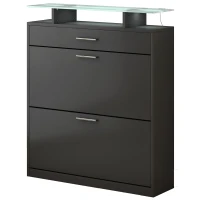 Shoe Cabinet with 2 Flip Drawers and Adjustable Shoe Storage, Tempered Glass Top, LED Light, 35" L x 9.5" W x 41" H, Black(m-13)