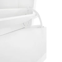 Functional Shoe Cabinet with 2 Flip Drawers, Adjustable Shoe Rack, Wood Grain Top, and Extra Storage, 24" L x 9.5" W x 47.5" H, White(m-10)