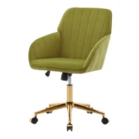 Adjustable Ergonomic Swivel Chair with Velvet Cushion and Lumbar Support, Office Chair with Golden Base, 25" L x 23" W x 38" H, Pale Green(m-10)