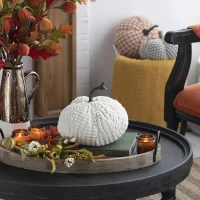 Set of 2 Chenille Weighted Pumpkin Ornaments, Holiday Harvest Festival Decor, 9" L x 8.5" W x 7" H, White(m-4)