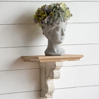 Distressed Wooden Wall Shelf with Corbel Design, Decorative Storage for Home, 14" L x 9" W x 11.5" H, Brown+Antique White(m-7)