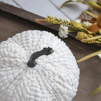 Set of 2 Chenille Weighted Pumpkin Ornaments, Holiday Harvest Festival Decor, 9" L x 8.5" W x 7" H, White(m-6)