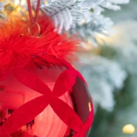 Set of 6 Decorative Glass Christmas Tree Hanging Ball Ornaments, Decorations for Holiday Party, D4", Red(m-5)