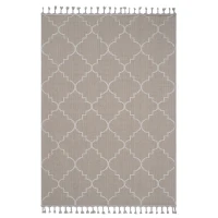 Naar 4x6 Indoor Outdoor Stain-Resistant Area Rug with Medium Pile Height, Kid and Pet-Friendly Carpet, 74" L x 48" W x 0.3" H, Ivory(m-2)