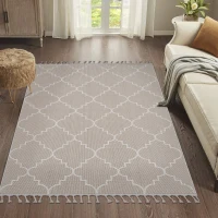 Naar 5x7 Indoor Outdoor Stain-Resistant Area Rug with Medium Pile Height, Kid and Pet-Friendly Carpet, 90" L x 63" W x 0.3" H, Ivory(m-1)