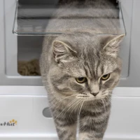 PawHut Fully Enclosed Cat Litter Box with Front Entry and Top Exit, Plastic, Gray & White(m-9)