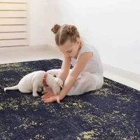 2x3 Non-Slip Machine Washable Doormat with Low-Pile, Non-Shedding Kid and Pet Friendly Carpet, 24" L x 36" W x 0.15" H, Black+Gold(m-6)