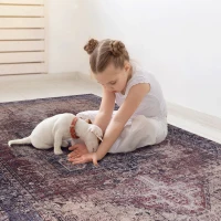 8x10 Washable Kid and Pet Friendly Area Rug, Low-Pile Non-Slip Non-Shedding Rug Blanket, for Living Room, Kitchen, Home Decor, Burgundy(m-1)