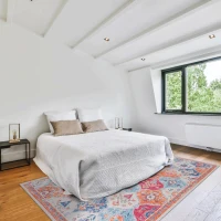 5x8 Washable Kid and Pet Friendly Area Rug, Low-Pile Non-Slip Non-Shedding Rug Blanket, for Living Room, Bedroom, Kitchen, Red(m-3)