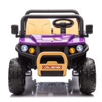 24V 2-Seater Kids Ride on UTV with Remote Control, Rear Wheel Suspension, Ride on Toys with LED Lights and Bluetooth for Ages 3-8, Purple(m-1)