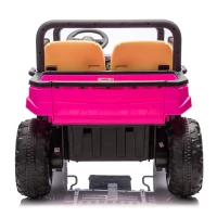24V 2-Seater Kids Ride on UTV with Parent Control, Automatic Tipping Bucket, Ride on Toys with LED Lights and Bluetooth for Ages 3-8, Pink(m-14)
