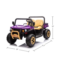 24V 2-Seater Kids Ride on UTV with Remote Control, Rear Wheel Suspension, Ride on Toys with LED Lights and Bluetooth for Ages 3-8, Purple(m-3)