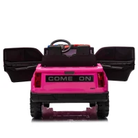 24V 2-Seater Kids Ride On Electric Pickup with Parent Control, Ride On Car with Safety Belts and Adjustable Speed, for Ages 3+, Rose Red(m-16)