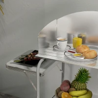 Outsunny Camping Kitchen Table, Aluminum Folding Camping Table with Storage Organizer, Windshield, Light Stand, Bag, Silver(m-9)