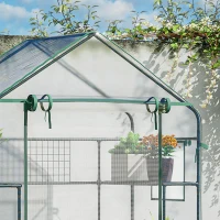 Outsunny Walk-in Greenhouse with 4 Shelves, 56" x 29" x 77" Mini Greenhouse ,Roll-Up Door, Mesh Windows for Seedling, Flowers, Plant Growing, Clear(m-9)