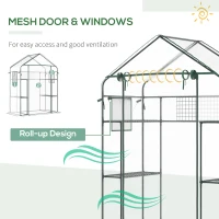Outsunny Walk-in Greenhouse with 4 Shelves, 56" x 29" x 77" Mini Greenhouse ,Roll-Up Door, Mesh Windows for Seedling, Flowers, Plant Growing, Clear(m-4)