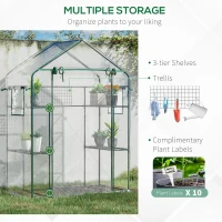 Outsunny Walk-in Greenhouse with 4 Shelves, 56" x 29" x 77" Mini Greenhouse ,Roll-Up Door, Mesh Windows for Seedling, Flowers, Plant Growing, Clear(m-5)