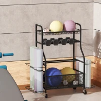 Soozier Garage Sports Equipment Organizer, Rolling Home Gym Storage Rack with Wheels, Dumbbell Rack and Ball Storage Holder(m-8)