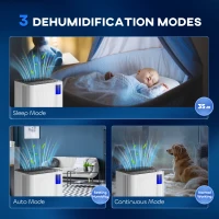 HOMCOM 25pints/Day Dehumidifier with Continuous Drainage, Timer, Dehumidifier for Condensation, Mould, Laundry Drying(m-5)