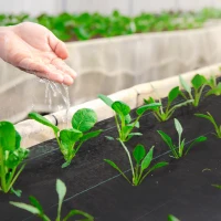 Outsunny 3ft x 164ft Weed Barrier, Landscape Fabric, for Greenhouse Yard Garden Weed Control, Heavy-Duty & Easy Setup, 2oz(m-8)