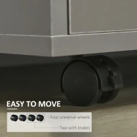 HOMCOM Modern Lateral Filing Cabinet, 3 Drawer File Cabinet for Letter and A4 Size Documents, Mobile, Printer Stand with Open Shelves, Rolling Wheels, Grey(m-6)