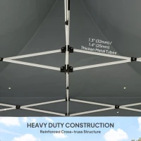 Outsunny 10' x 10' Heavy Duty Pop Up Canopy Tent with Sidewall, UPF50+ Instant Sun Shelter with Storage Pockets, Gray(m-4)