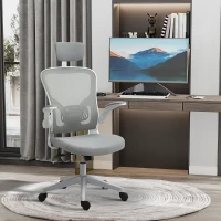 Vinsetto High Back Mesh Chair, Home Office Task Computer Chair with Adjustable Height, Lumbar Back Support, Headrest, and Arms, Gray(m-10)