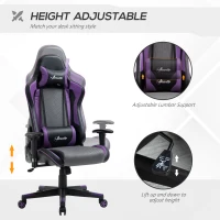 Vinsetto Gaming Chair Racing Style Ergonomic Office Chair High Back Computer Desk Chair Adjustable Height Swivel Recliner with Headrest and Lumbar Support, Purple(m-4)