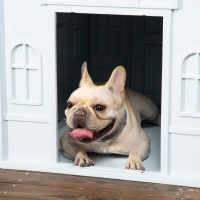 PawHut Plastic Dog House for Medium and Small Dogs, Water Resistant Puppy Shelter Indoor Outdoor with Door, Easy to Assemble, Blue(m-8)
