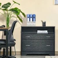 Vinsetto Lateral File Cabinet with 2 Drawers,  Filing Cabinet for Hanging Letter Sized Files, Office Printer Stand, Black(m-8)