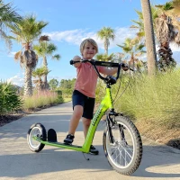 Aosom Youth Scooter Kick Scooter for Kids 5+ with Adjustable Handlebar 16" Front and 12" Rear Dual Brakes Inflatable Wheels, Green(m-2)