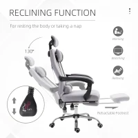 Vinsetto Ergonomic Executive High Back Office Chair with Footrest,Lumbar Support,Grey(m-5)