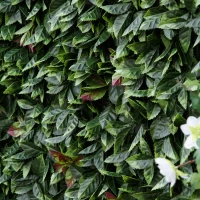 Outsunny 12PCs Grass Wall Panels, 20" x 20" Artificial Grass Wall Decor, Greenery Backdrop Panels Wall for Outdoor, Indoor, Garden, Fence, Backyard, Green and Red(m-9)